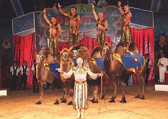 Zirkus Probst (Foto: nnz)