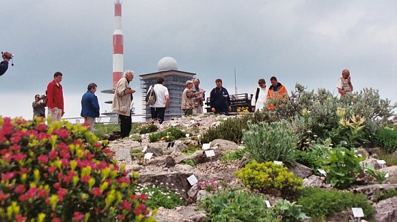 Seltene Pflanzen (Foto: nnz)
