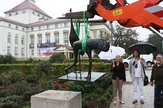 Kraniche zur&uuml;ck (Foto: P. Grabe)