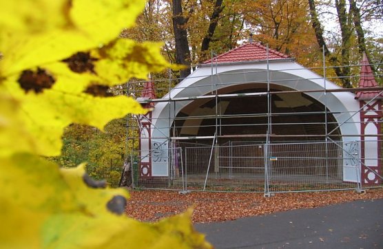 Schmucke Muschel (Foto: psv)