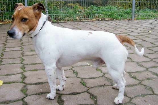 Gefunden und gerettet (Foto: nnz)