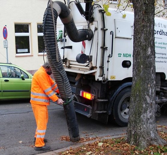 Laub weg (Foto: Gabriela Sennecke)