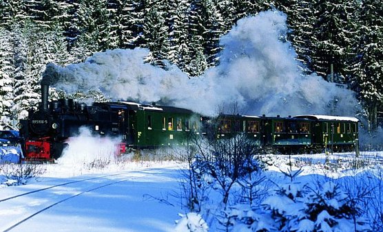 Durch den Winterwald (Foto: nnz)