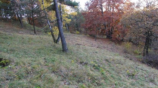 Nach dem Arbeitseinsatz (Foto: B. Schwarzberg)