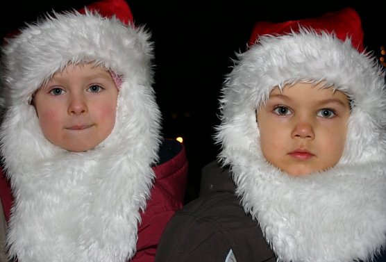 Zwei kleine Nikol&auml;use (Foto: KSK)