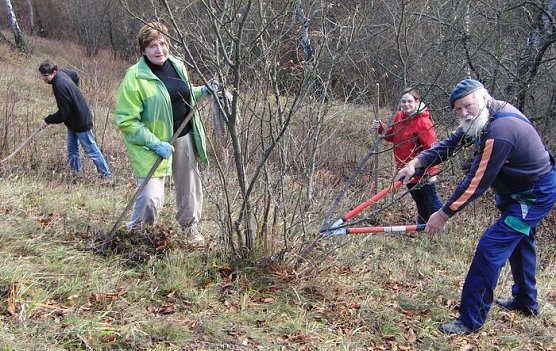 Arbeitseinsatz (Foto: B. Schwarzberg) Arbeitseinsatz (Foto: B. Schwarzberg)