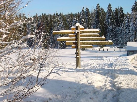 Ski und Rodel gut? (Foto: Katja John)