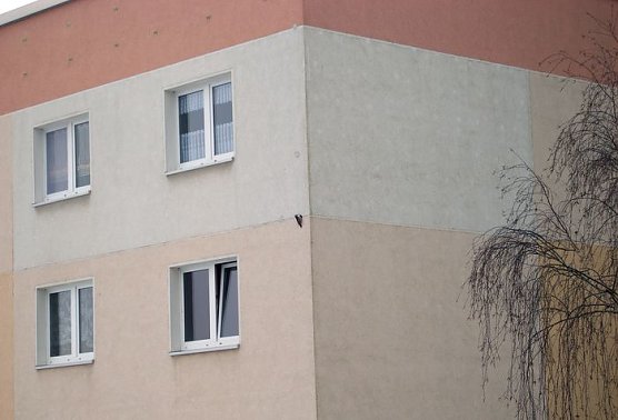 Beharrlich (Foto: privat)