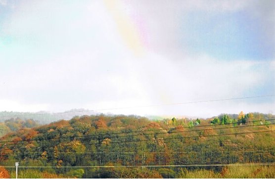 Regenbogenfarben (Foto: privat) Regenbogenfarben (Foto: privat)