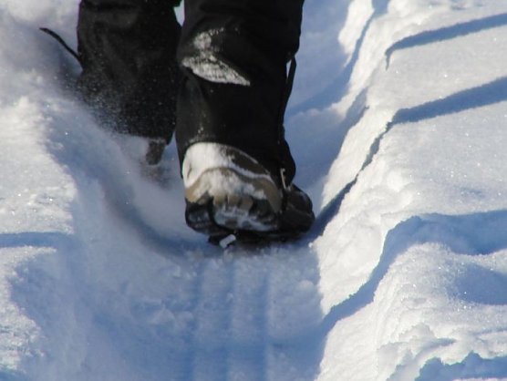 Schneestapfen  (Foto: privat)