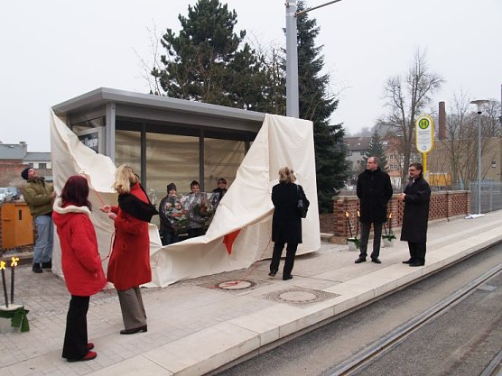 Entbl&auml;ttert (Foto: nnz)