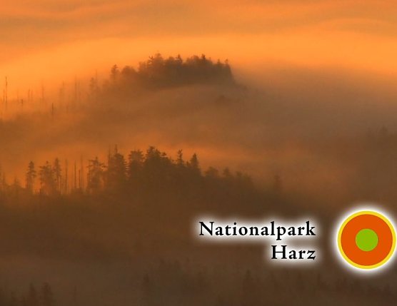 Morgendlicher Blick zum Brocken (Foto: movit GmbH) Morgendlicher Blick zum Brocken (Foto: movit GmbH)