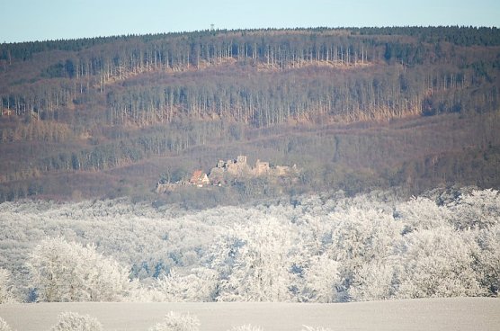 Herrlicher S&uuml;dharz (Foto: H. Michel)