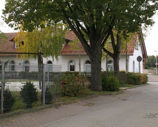 Sehns&uuml;chtiges Warten (Foto: privat)