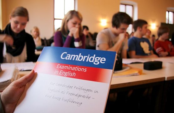 Mal geschnuppert (Foto: J. Piper) Mal geschnuppert (Foto: J. Piper)