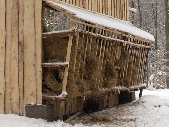 Hilfe in der Notzeit (Foto: Forstamt)
