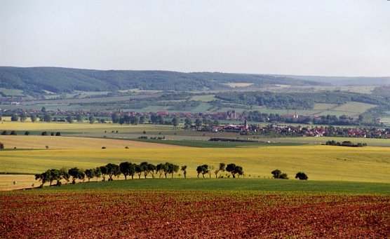 Goldene Aue (Foto: pln)