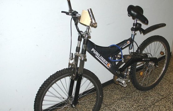 Besitzer gesucht (Foto: pol) Besitzer gesucht (Foto: pol)