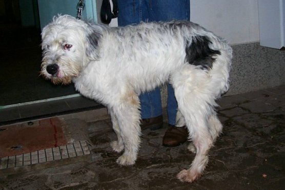 Gefunden (Foto: nnz)