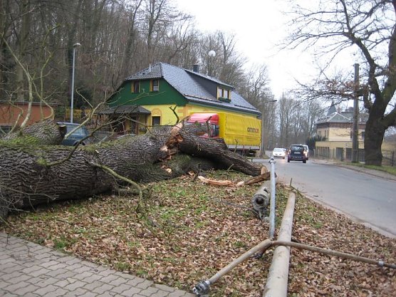 Umgest&uuml;rzt (Foto: PSV)