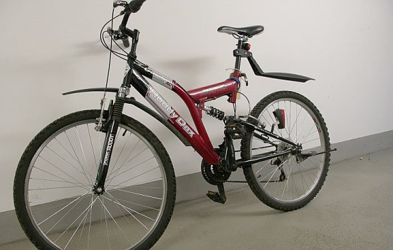 Eigent&uuml;mer gesucht (Foto: Polizei)