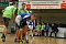 Handball-Wochenende des NSV
