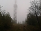  Der Carlshausturm (626 m, Stempel 51) im Nebel