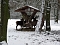 Winter im Park Winter im Park