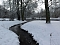 Winter im Park Winter im Park