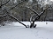 Winter im Park Winter im Park