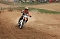 Motocross bei Hamma
