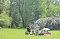 Märchenpicknick im Park Hohenrode Märchenpicknick im Park Hohenrode