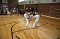 Kreisjugendspiele im Karate Kreisjugendspiele im Karate