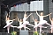 Die Eleven des Tanzstudio Radeva auf dem 47. Rolandsfest