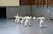Drei Tage Karate