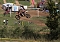 Motocross in Hamma