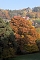 Herbstfarben am Panoramaweg bei Blankenburg