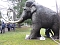 Das Mammut ist umgezogen