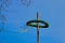 Maibaum in W&uuml;lfingerode gesetzt