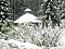 Unterwegs im winterlichen Harz Unterwegs im winterlichen Harz