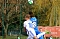 Wacker gewinnt 6:1 gegen Luckenwalde