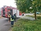 Kameradinnen und Kameraden der Freiwilligen Feuerwehr Neustadt/Osterode bew&auml;sserten erneut B&auml;ume  und Str&auml;ucher