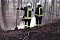 Fl&auml;chenbrand bei Gro&szlig;lohra