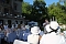 Diner en blanc im Park Hohenrode