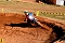 Hamma Moto Cross