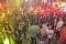 Party im Jugendclubhaus in Nordhausen - der Samstag Party im Jugendclubhaus in Nordhausen - der Samstag