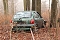 auto im Wald
