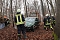 auto im Wald
