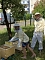 Bienen-Team Bienen-Team