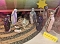 Krippenausstellung in Schaufenstern der Stadt Nordhausen Krippenausstellung in Schaufenstern der Stadt Nordhausen